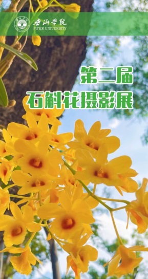 C:\Users\Administrator\Documents\WeChat Files\wxid_lnjc4tca1cvp22\FileStorage\Temp\5c6f1b8e275852dcbcfba578efb92b4.jpg