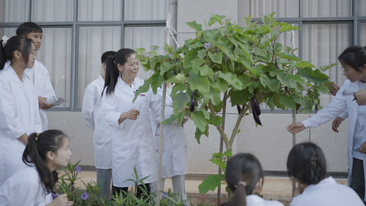 微信图片_20251225170014_129_146