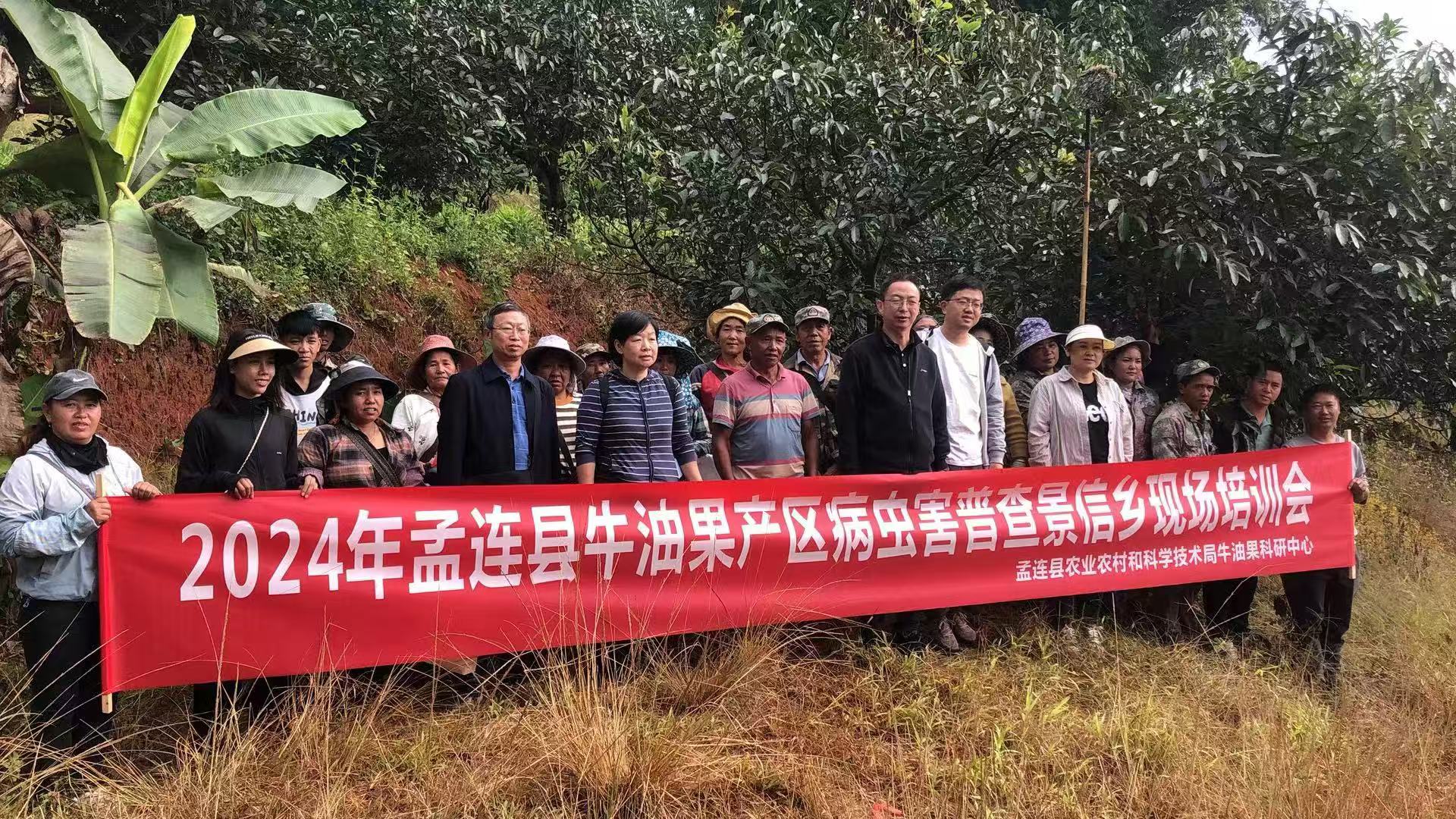 2024.11 病虫害普查培训会——田洋专家基层科研工作站提供