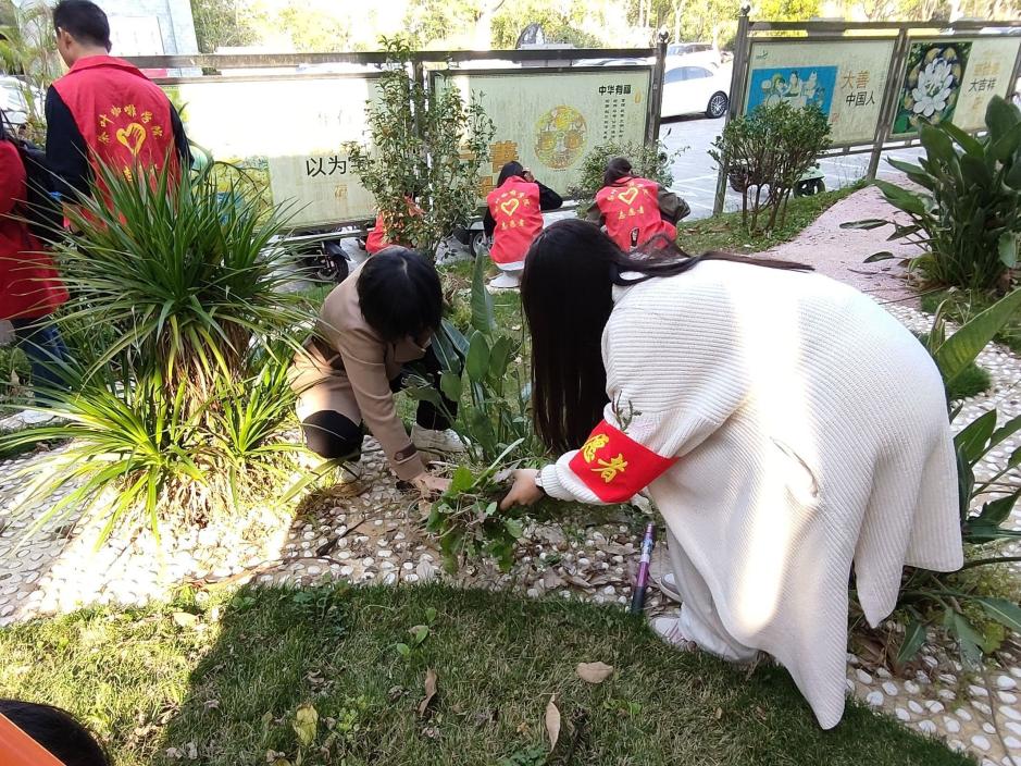 QQ图片20250307101132