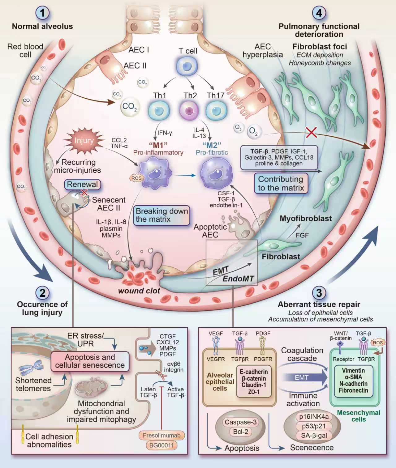 7f3d2f294762401d6b93f367e1336ea0