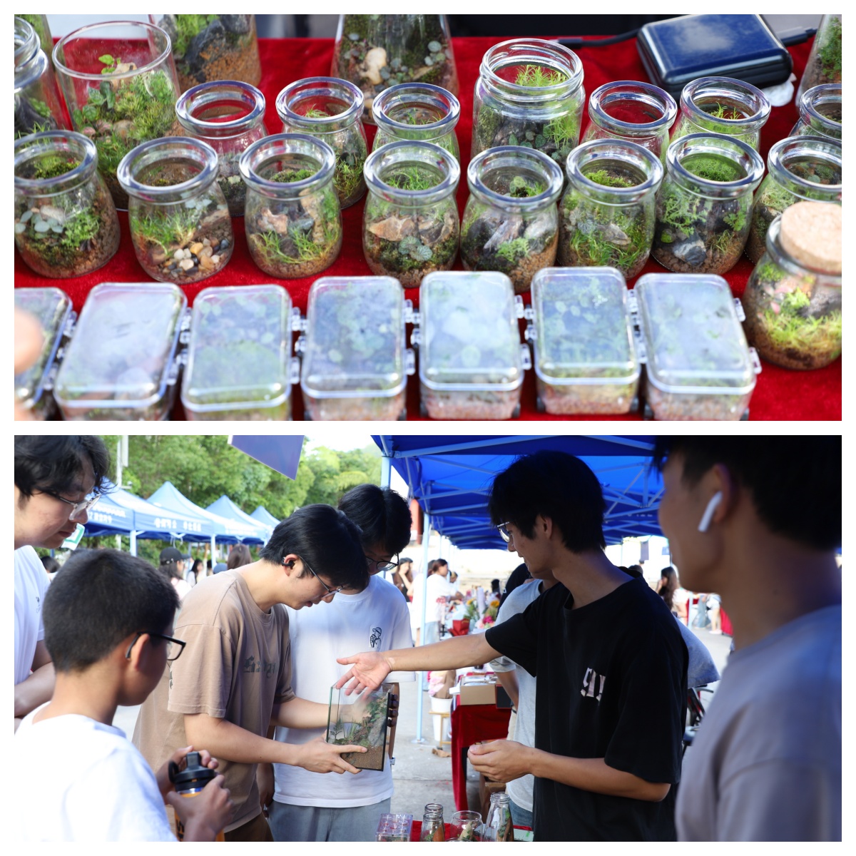 创业集市