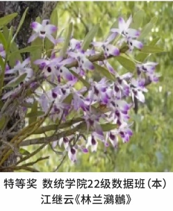 C:\Users\Administrator\Documents\WeChat Files\wxid_lnjc4tca1cvp22\FileStorage\Temp\6cdfa7c7c45c4f07a9d3eacdf640f61.jpg